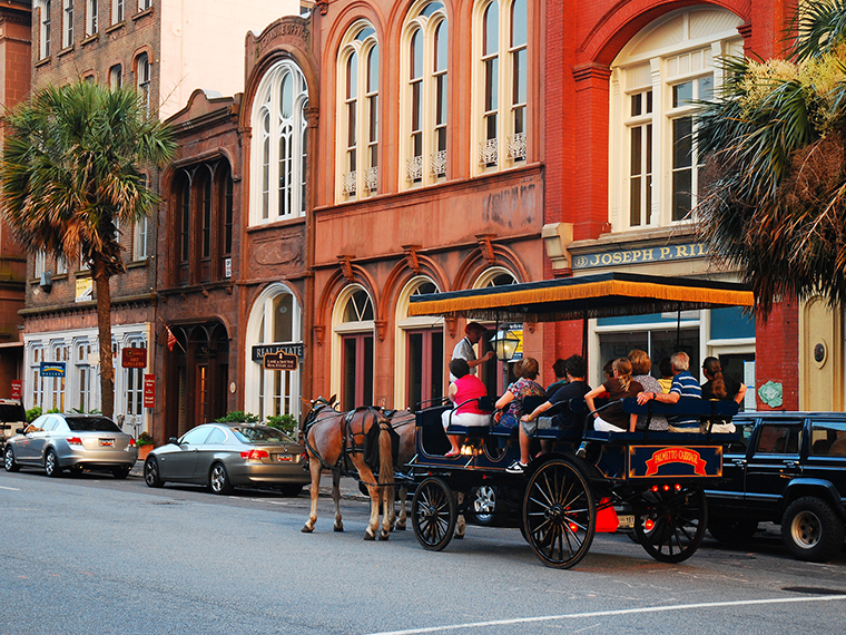 Carriage Tours near Charleston Harbor Resort and Marina